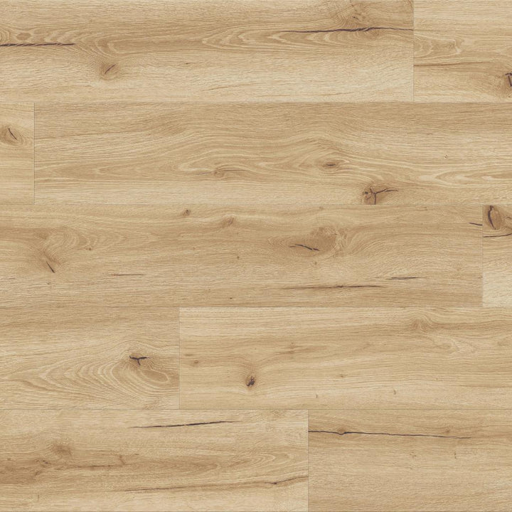 Klick Vinyl Eiche Dolo mit Trittschalldämmung - Reud Bodenarena