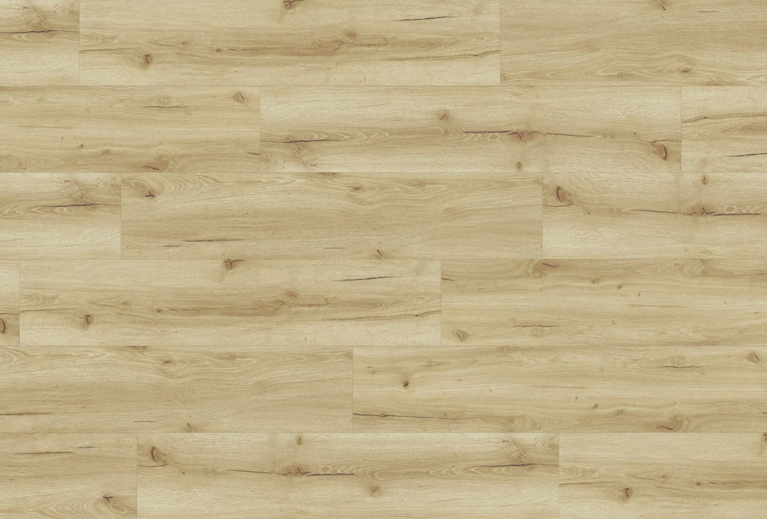 Bodencouture SofTEC Eiche Cumin mit Kork