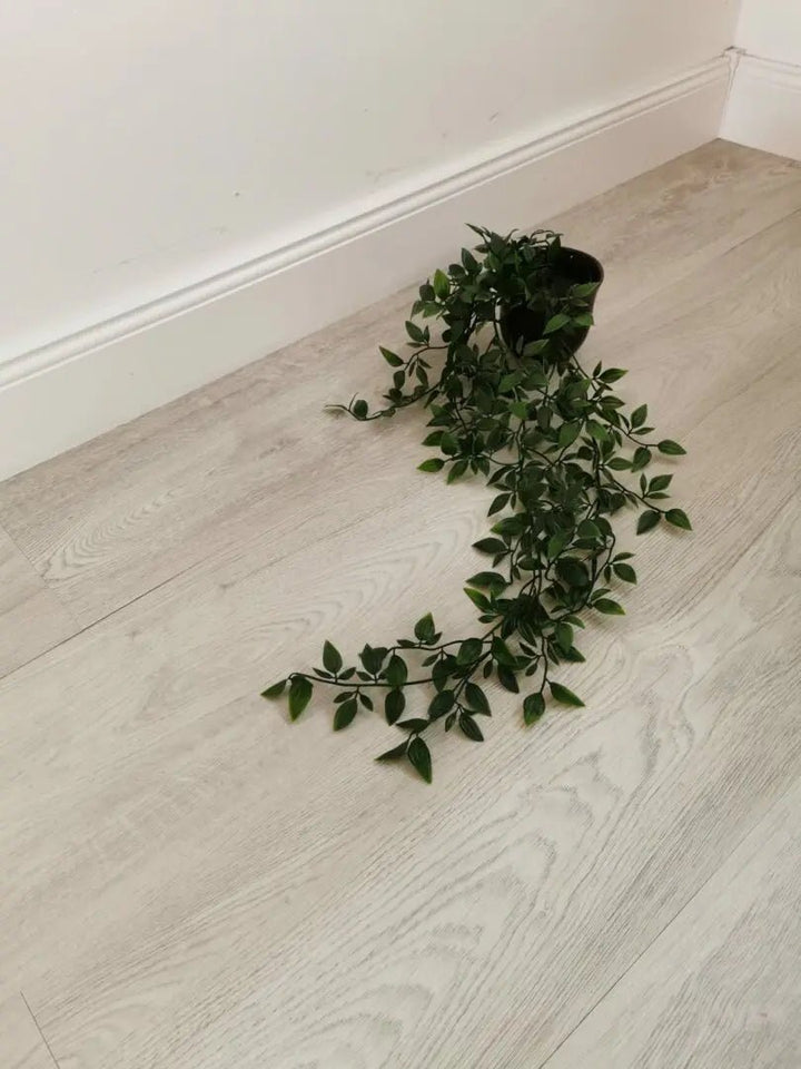 GreenLine Leipzig Eiche weiß Zum Verkleben Dryback Vinylboden