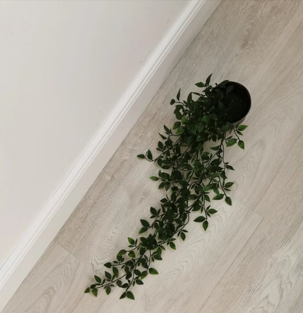 GreenLine Leipzig Eiche weiß Zum Verkleben Dryback Vinylboden