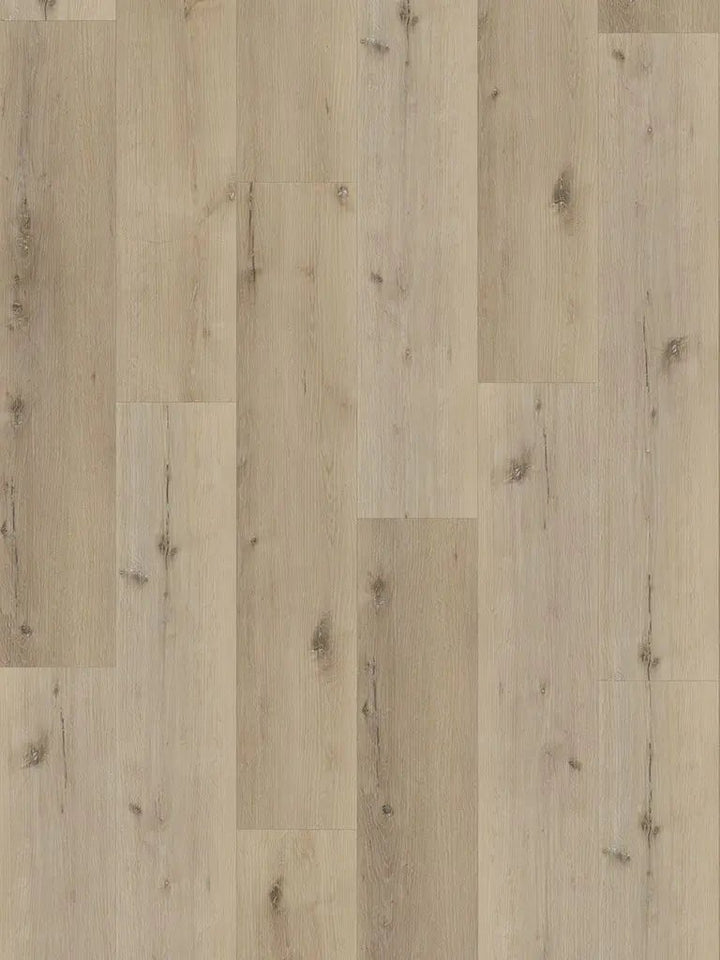 Check One 0.55 Hellweg Eiche Landhausdiele Vinylboden