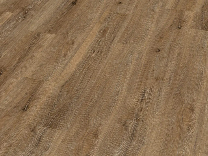 Check One Basic 2431 Büren Eiche inkl. Trittschalldämmung Vinylboden