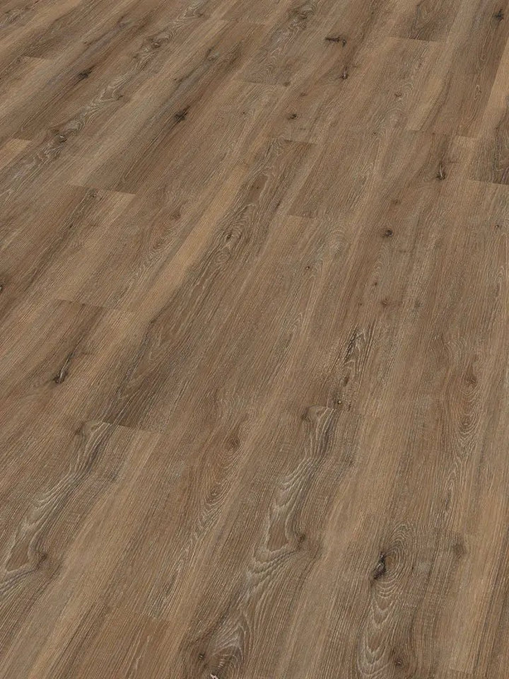 Check One Basic 2431 Büren Eiche inkl. Trittschalldämmung Vinylboden