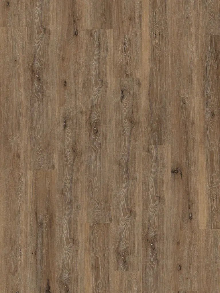 Check One Basic 2431 Büren Eiche inkl. Trittschalldämmung Vinylboden