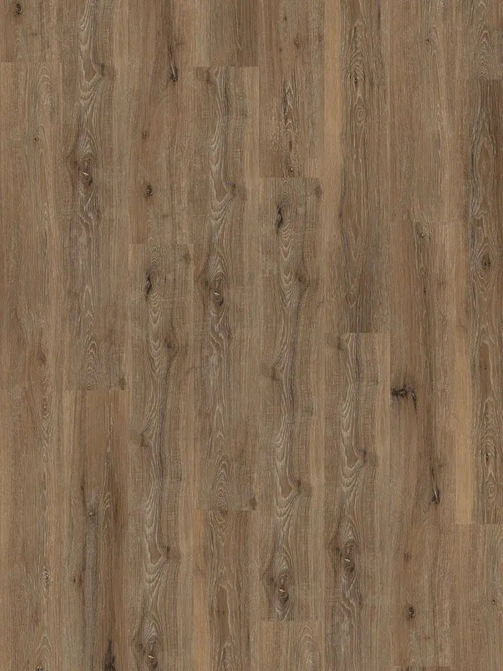 Check One Basic 2431 Büren Eiche inkl. Trittschalldämmung Vinylboden