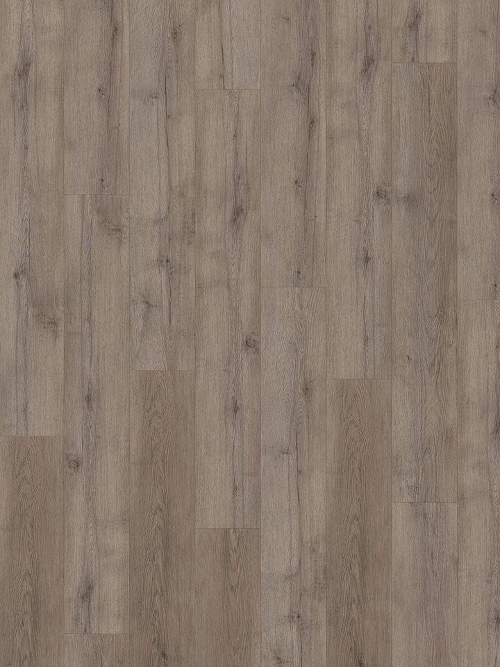 Check One Standard 2464 Terpe Eiche Breitdiele inkl. Trittschalldämmung Vinylboden - Reud Bodenarena