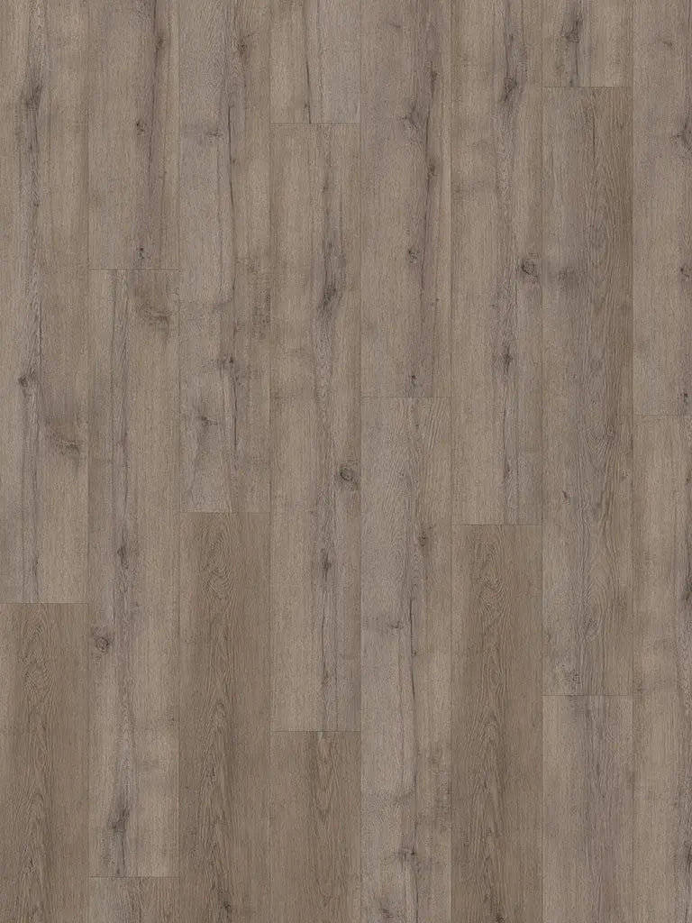 Check One 2464 Terpe Eiche Landhausdiele Vinylboden Klick