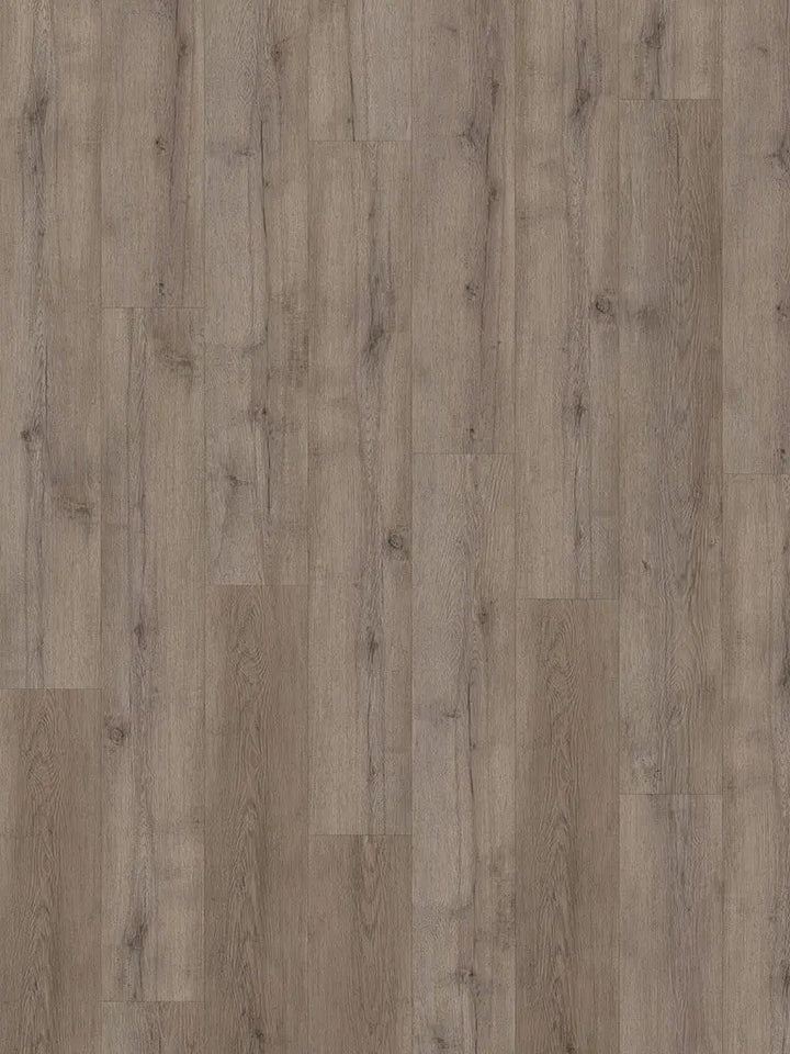 Check One 2464 Terpe Eiche Landhausdiele Vinylboden Klick