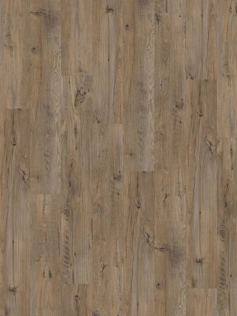 CHECK One Achenbach Kastanie Diele Klick Vinylboden