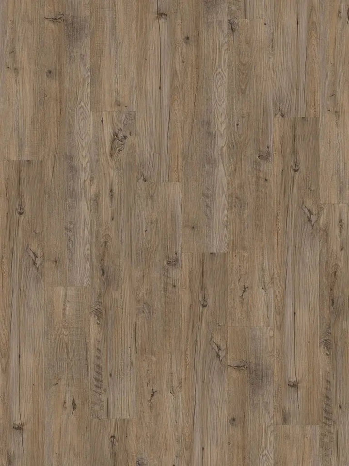 CHECK One Achenbach Kastanie Diele Klick Vinylboden