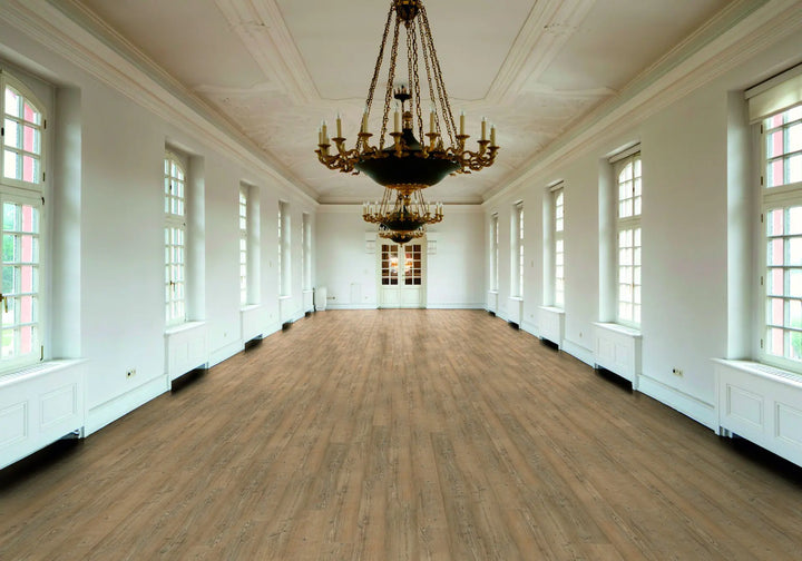 Repac solidDRYBACK 25-05 Classic Light Pine Klebe Vinylboden