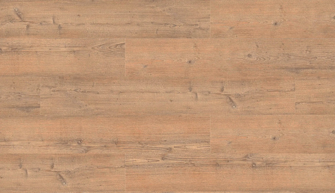 Repac solidDRYBACK 25-05 Classic Light Pine Klebe Vinylboden