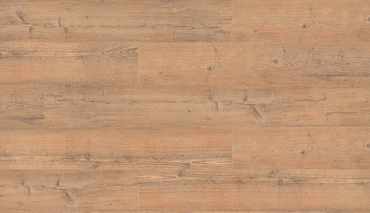 Repac solidDRYBACK 25-05 Classic Light Pine Klebe Vinylboden