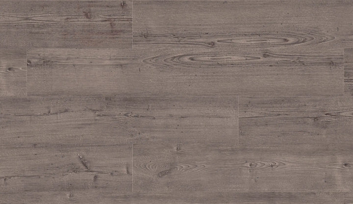 Repac solidDRYBACK 25-05 Classic Light Grey Pine Klebe Vinylboden