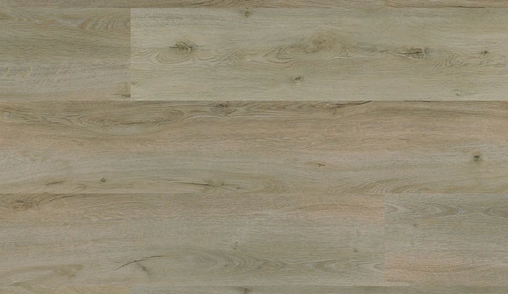 Repac solidDRYBACK 25-05 Fresh Oak Authentic PURE 1030 Klebe Vinylboden