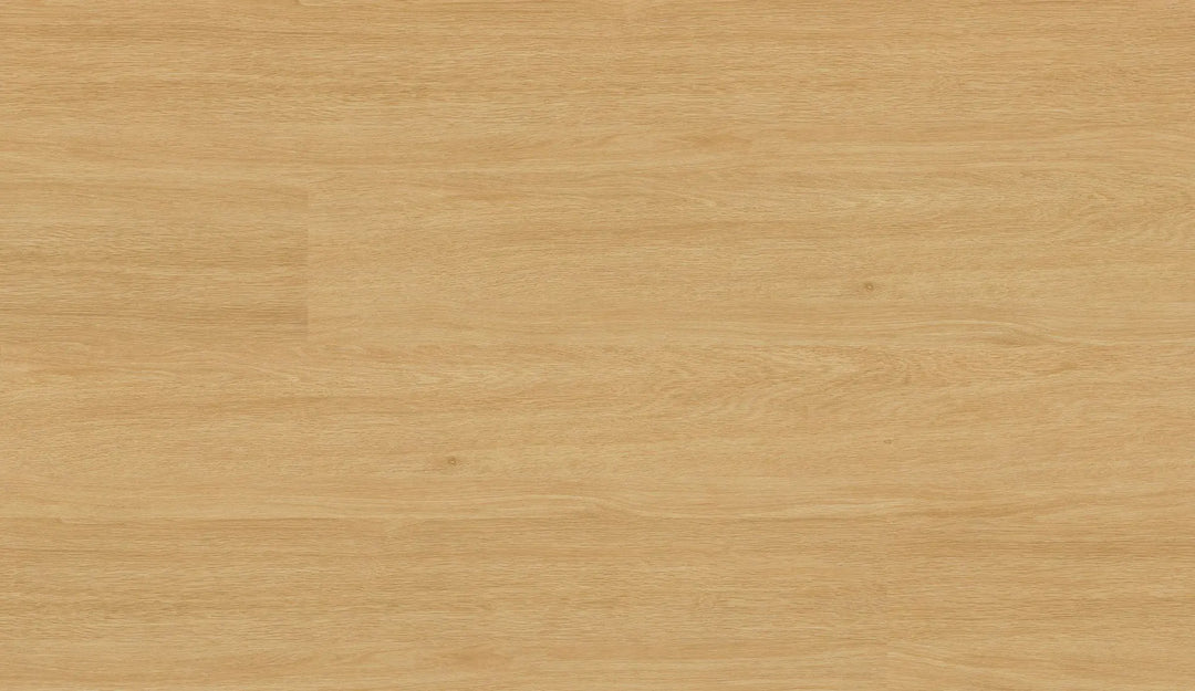 Repac solidDRYBACK 20-03 CAM Buche Klebe Vinylboden