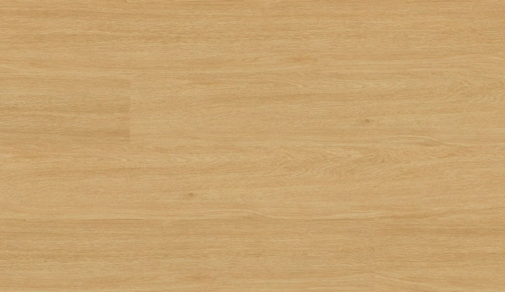 Repac solidDRYBACK 25-05 CAM Buche Hell Klebe Vinylboden