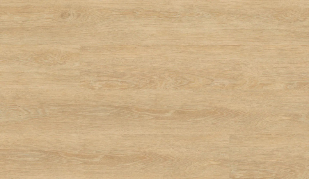 Repac solidDRYBACK 20-03 CAM Buche hell Klebe Vinylboden