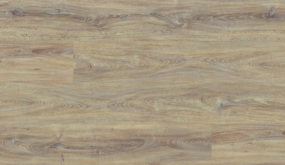 Repac solidDRYBACK 20-03 Legend Oak Eiche Noblesse Klebe Vinylboden