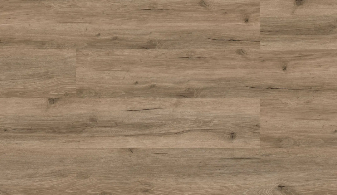 Repac solidLOCK 50-03 Legend Oak Eiche Hansegrau Klick Vinylboden