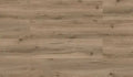 Repac solidDRYBACK 20-03 Legend Oak Eiche Hansegrau Klebe Vinylboden