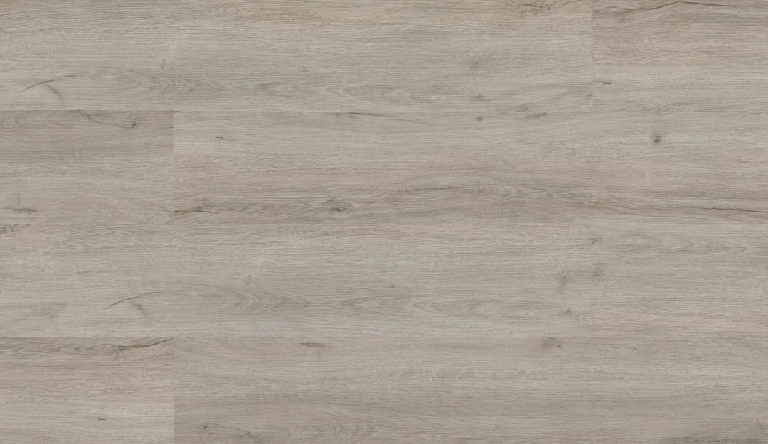 Repac solidDRYBACK 20-03 Legend Oak Eiche Hellgrau Klebe Vinylboden