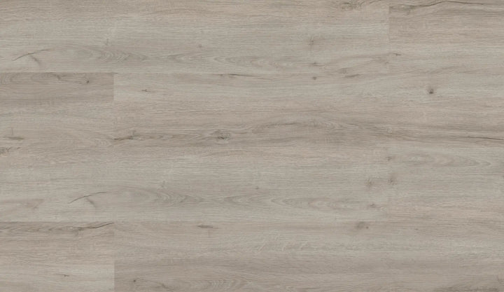 Repac solidDRYBACK 20-03 Legend Oak Eiche Hellgrau Klebe Vinylboden