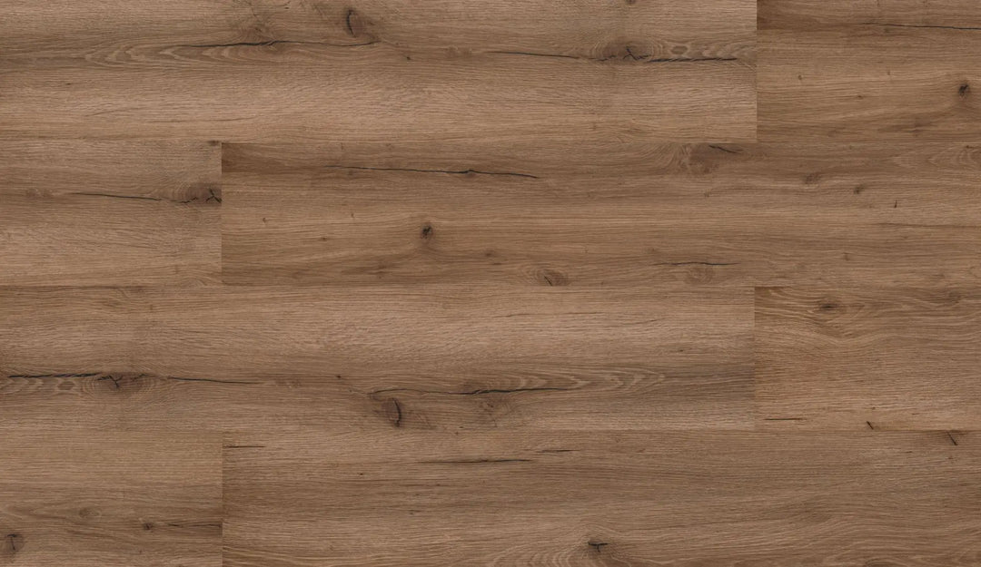 Repac solidDRYBACK 20-03 Legend Oak Eiche Dunkelbraun Klebe Vinylboden