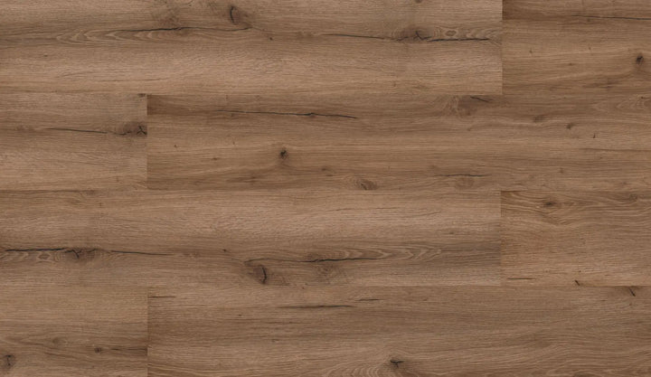 Repac solidDRYBACK 20-03 Legend Oak Eiche Dunkelbraun Klebe Vinylboden