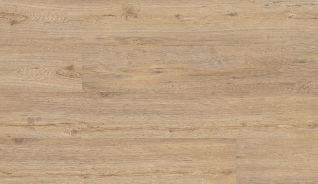 Repac solidDRYBACK 20-03 Legend Oak Eiche Hell Klebe Vinylboden