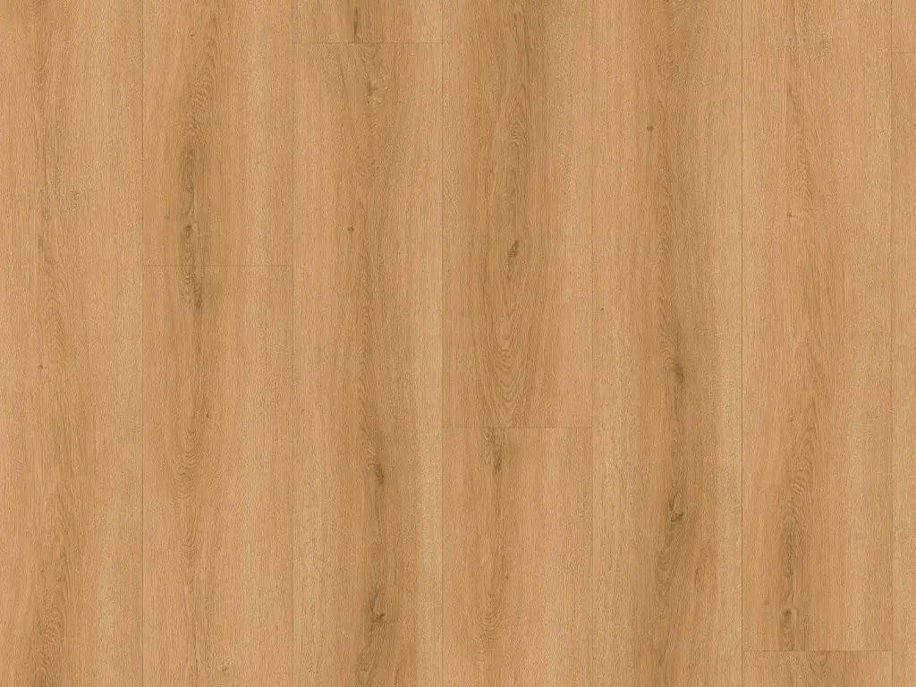 Decoflooring Eiche Burgund Glue 2,0 Zum Verkleben Vinylboden