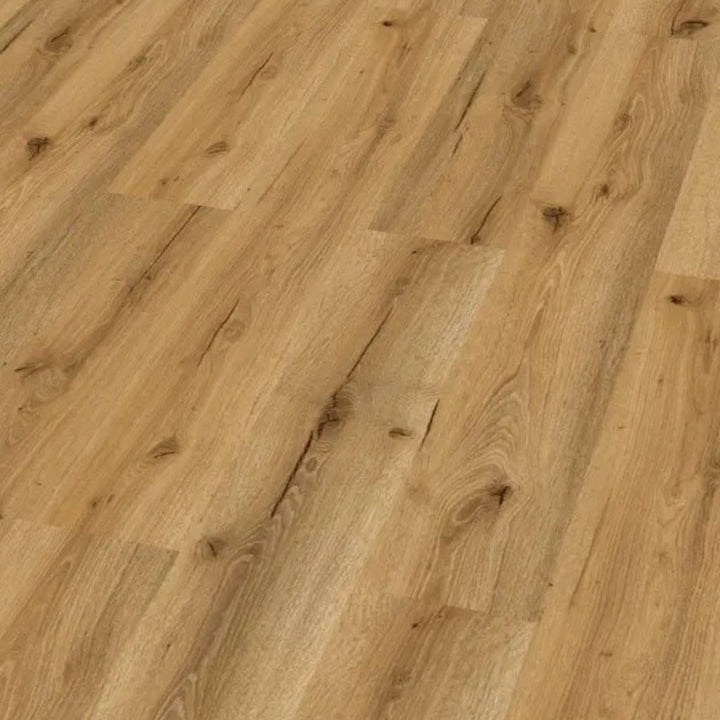 Decoflooring Eiche Champagne Glue 2.0 Vinylboden - Landhausdiele Detailansicht mit natürlicher Holzmaserung und warmer Champagne-Färbung - REUD-Bodenarena