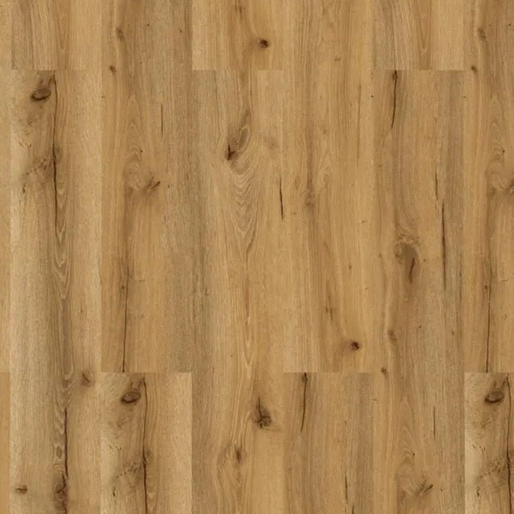 Decoflooring Eiche Champagne Glue 2.0 Vinylboden Oberflächendetail - natürliche Holzmaserung, Äste und charakteristische Eiche-Struktur - REUD-Bodenarena