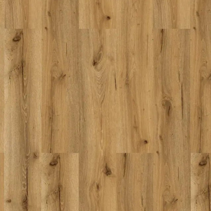 Decoflooring Eiche Champagne Glue 2.0 Vinylboden Oberflächendetail - natürliche Holzmaserung, Äste und charakteristische Eiche-Struktur - REUD-Bodenarena