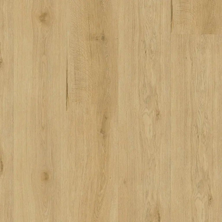 Decoflooring Eiche Normandie Glue 2.5 Klebevinylboden Oberflächendetail - warme Champagne-Färbung, Holzmaserung, strukturierte Oberfläche - Reud