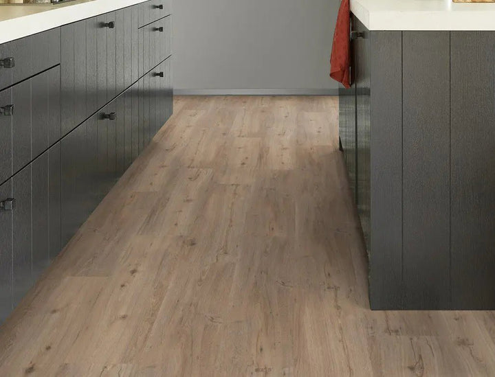 GreenLine Dresden Eiche Klassik Zum Verkleben Dryback Vinylboden