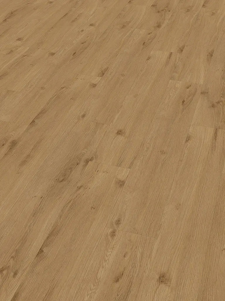 CHECK expert Julius Eiche Diele zum Verkleben Vinylboden