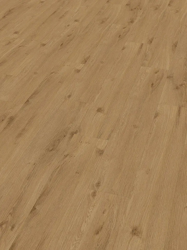 CHECK expert Julius Eiche Diele zum Verkleben Vinylboden