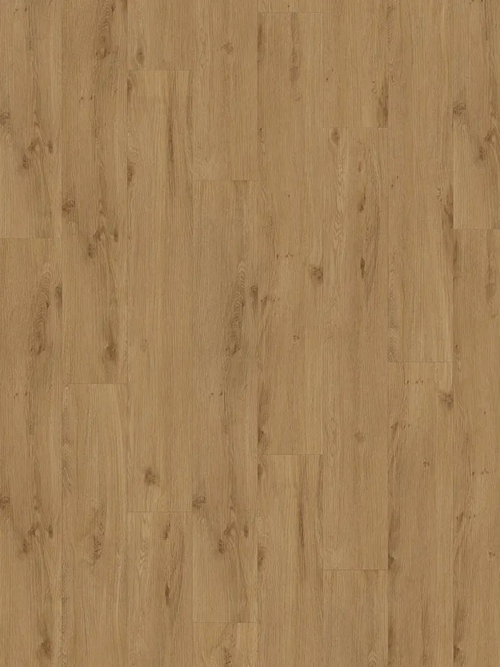 CHECK expert Julius Eiche Diele zum Verkleben Vinylboden