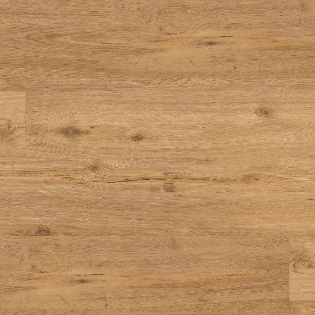 Gebürstete Oberflächenstruktur des Repac solidDRYBACK Legend Oak – Detailaufnahme der authentischen Holz-Haptik mit feinen Strukturierungen und natürlichen Holzmerkmalen - Reud
