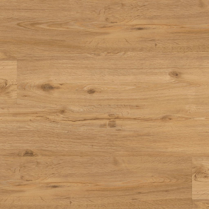 Gebürstete Oberflächenstruktur des Repac solidDRYBACK Legend Oak – Detailaufnahme der authentischen Holz-Haptik mit feinen Strukturierungen und natürlichen Holzmerkmalen - Reud