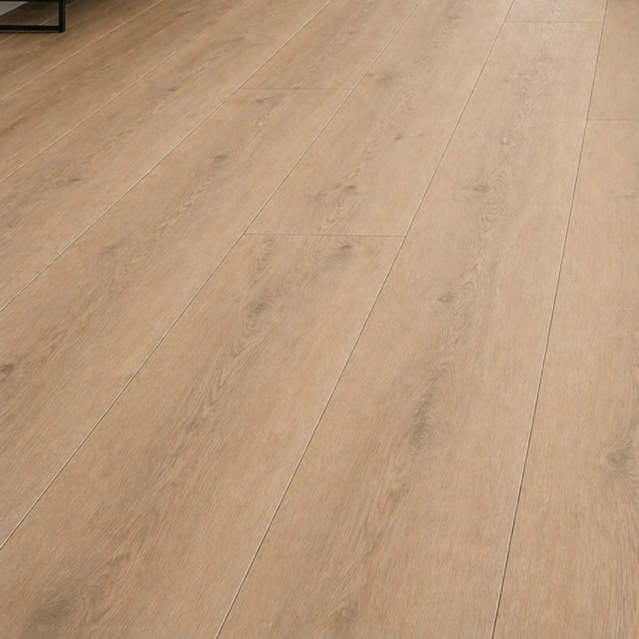 Klick Laminat Kronoflooring Long Island Oak XL Hell 8 mm - Reud Bodenarena