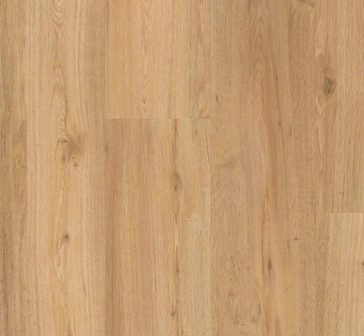 Parador Basic 30 Eiche natur Vinylboden HDF-Träger mit Trittschalldämmung