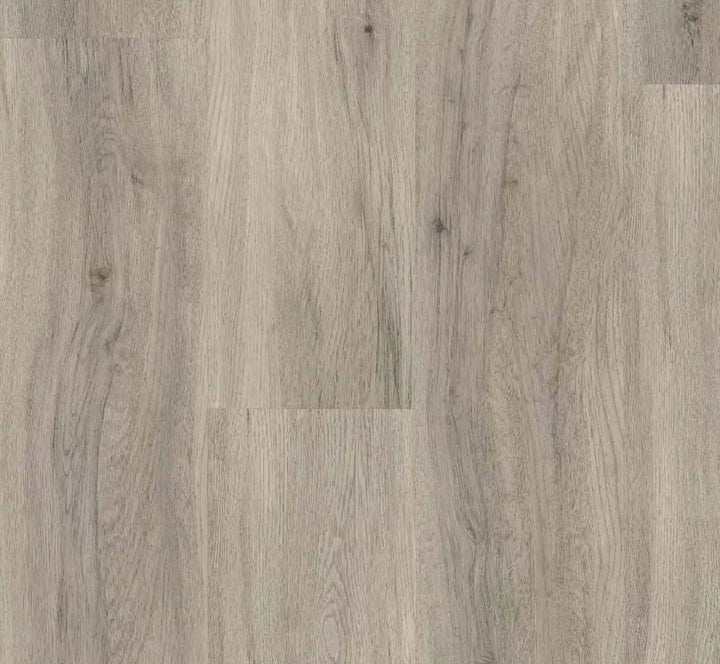 Parador Basic 30 Eiche pastellgrau Vinylboden HDF-Träger mit Trittschalldämmung