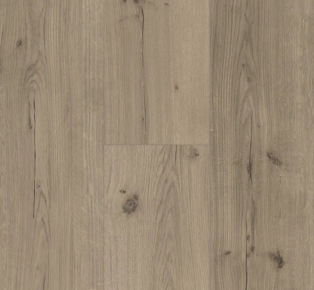 Parador Eiche Infinity grau gebürst.Strukt. LHD gefast Vinylboden Basic 5.3