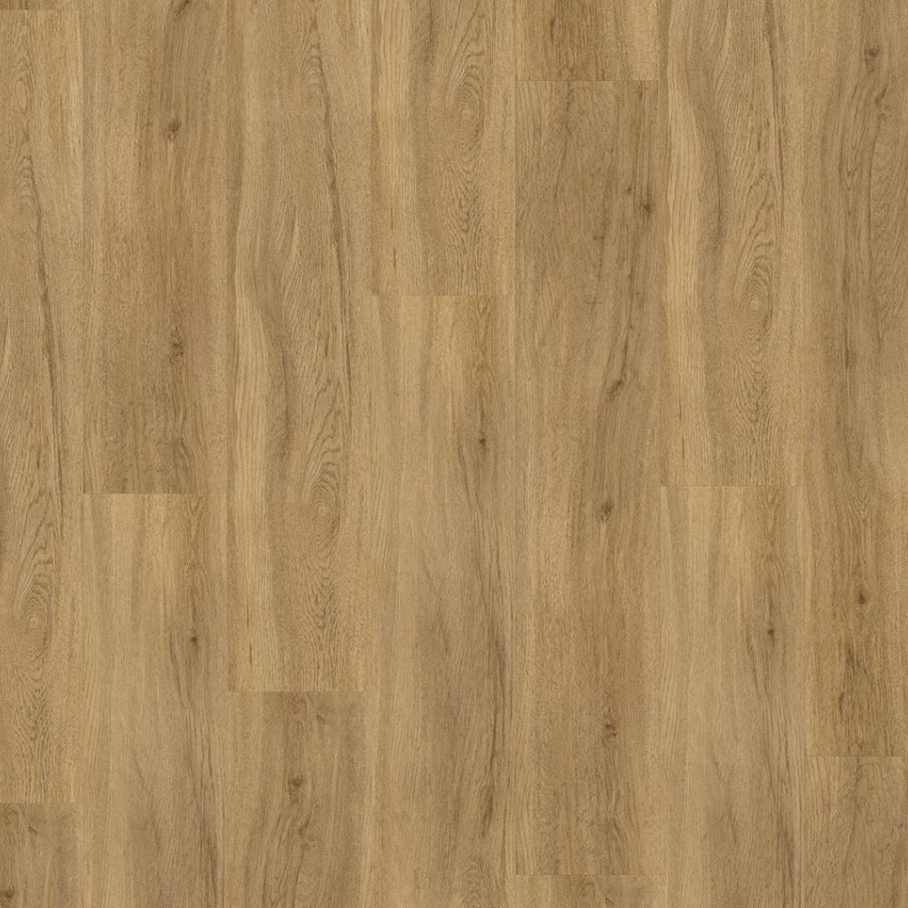 Parador Basic 30 Eiche Sierra natur Vinylboden HDF-Träger mit Trittschalldämmung REUD Bodenarena Landhausdiele