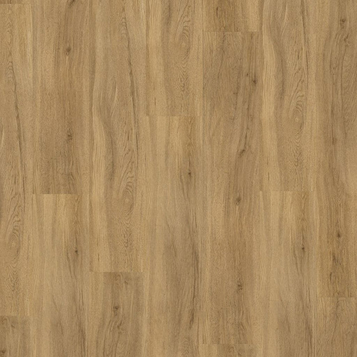 Parador Basic 30 Eiche Sierra natur Vinylboden HDF-Träger mit Trittschalldämmung REUD Bodenarena Landhausdiele