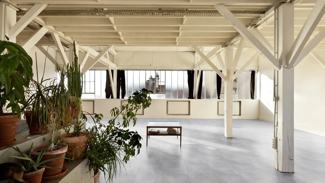 Repac solidDryback 25-05 Nuance Fliese Off Grey zum Verkleben Vinylboden