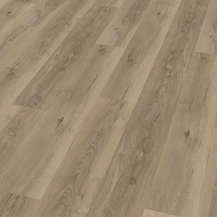 Repac solidDRYBACK 25-05 Fresh Oak Authentic RUSTIC 2040 Klebe Vinylboden Reud Bodenarena Diele