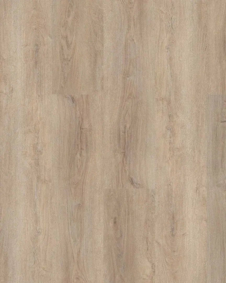 X-Cellent Eiche Genista SPC mit integrierte Trittschalldämmung Vinylboden Click